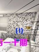 按期查抄进度并及时反馈意